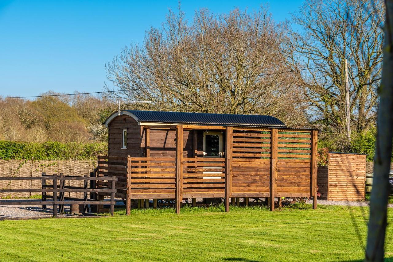 Hillside View Shepherds Hut - Ockeridge Rural Retreats Little Witley Εξωτερικό φωτογραφία
